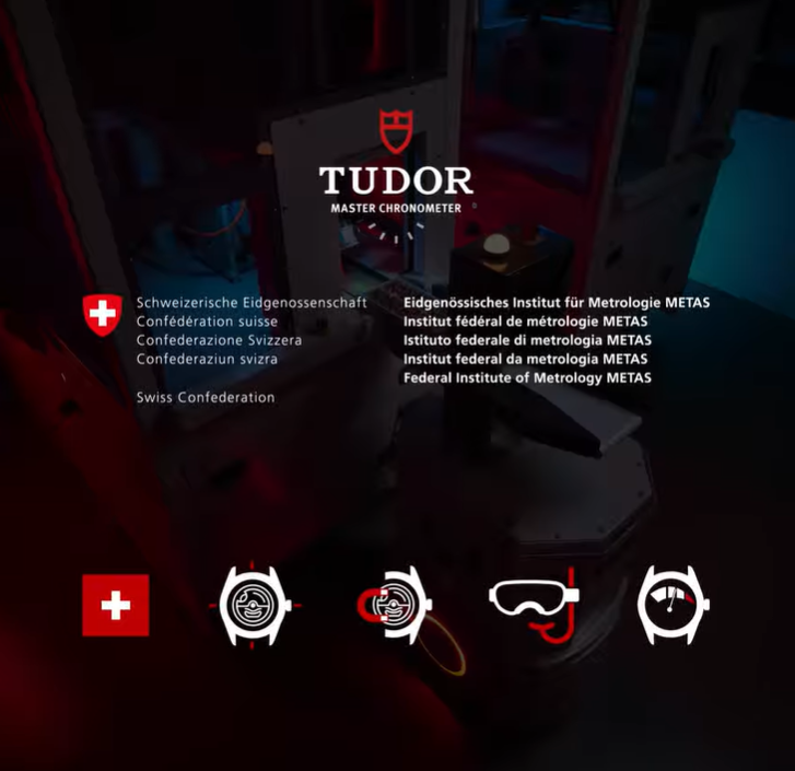Tudor Care METAS Certificate